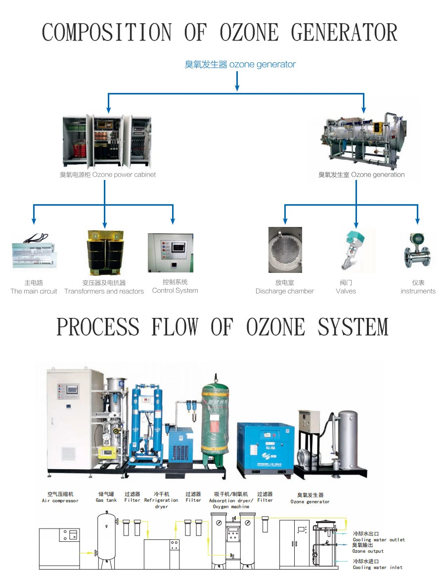 1kg/H-6kg/H Large Ozone Generator for Industrial Gas Disposal Odor Control