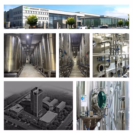 Alimentation d'usine de haute qualité 98,5 % monohydrate d'acide glyoxylique CAS 563-96-2