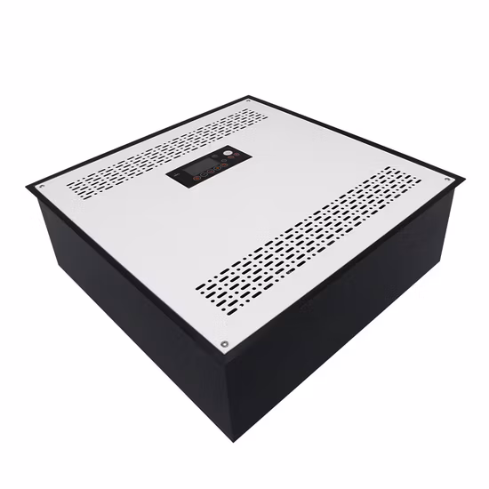 Générateur d'ozone industriel monté au plafond 50 g/h Flygoo